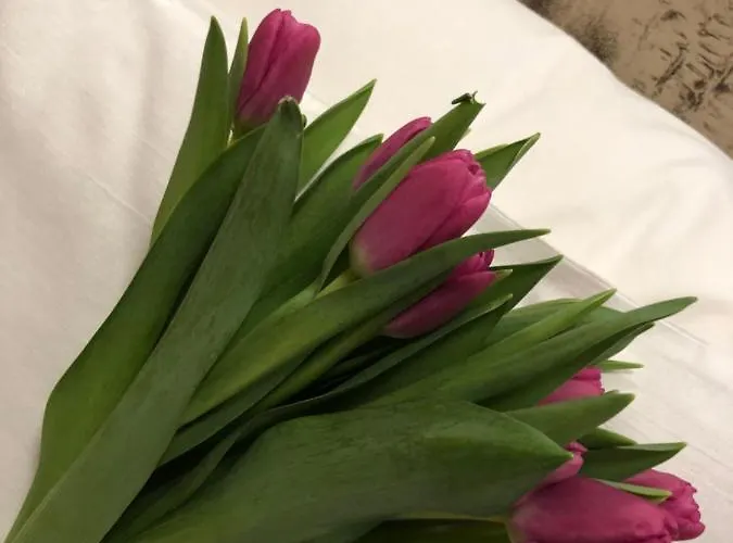 Hotell Kalvaria Varfal Panzio Pécs